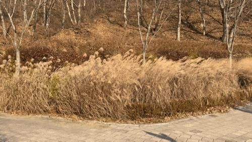 블챌 13주차 | 계획에 없던 일들이 계획이 되는 주 (14주차 coming soon)