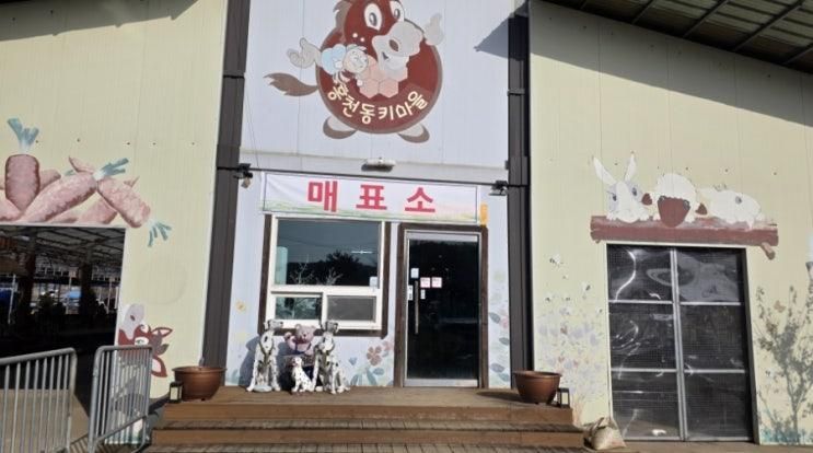 강원도 홍천 여행 홍천동키마을 27개월 아이와 방문한 후기