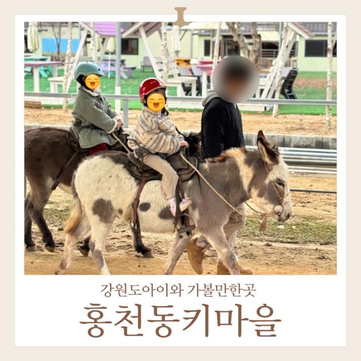 홍천 여행 아이와가볼만한곳 동키마을