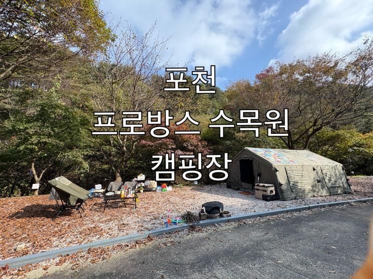 포천 캠핑장 추천 조용한 자연 속 [수목원프로방스 캠핑장]