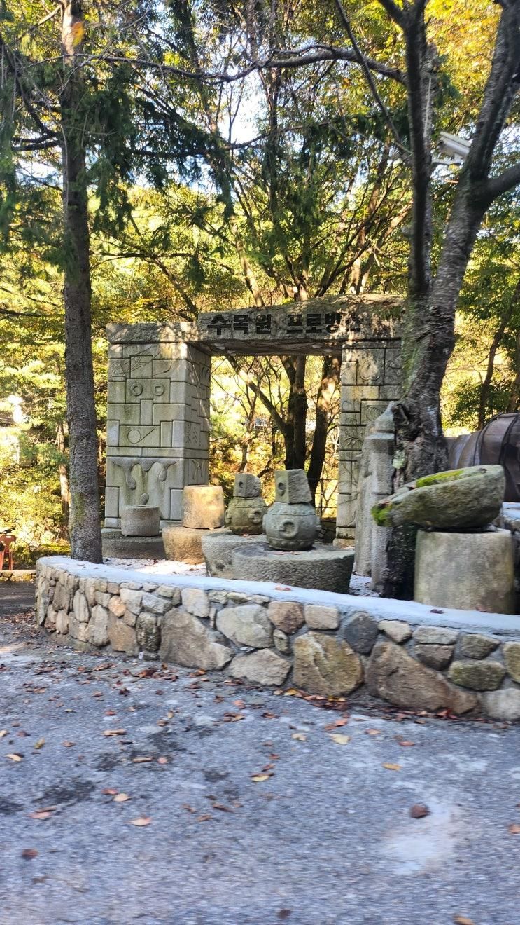 <수목원 프로방스> 경기도 포천 가을 가족 캠핑장