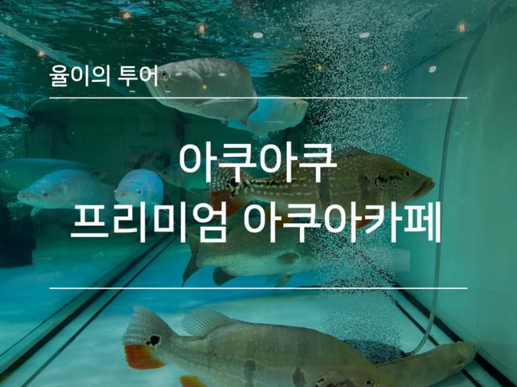 [경기도/동탄카페]아쿠아쿠 아쿠아카페 희귀 관상어 내돈내산 이색카페