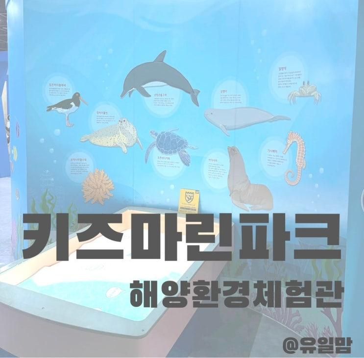 송파 키즈마린파크 어린이 해양환경체험관 예약 방문 후기 아이와 가볼만한곳