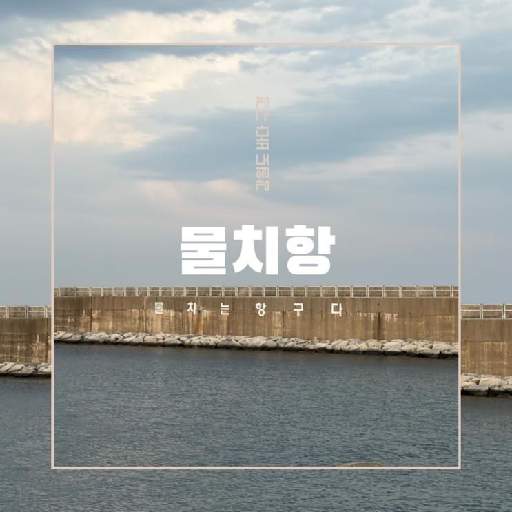 아이랑 가기 좋은 바다 물치해수욕장 차박 명소 & 강원도 양양 PEI 대형 카페