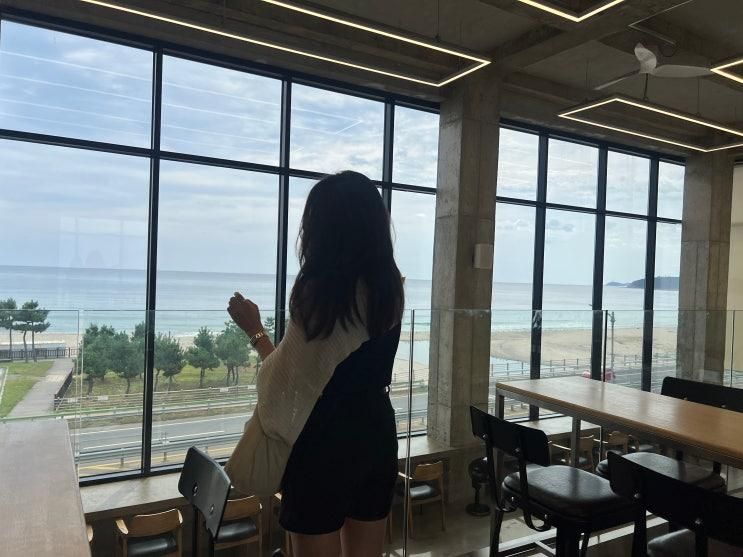 양양 카페 P.E.I coffee ㅣ 아이랑 속초 오션뷰 대형카페 내돈내산 후기, 반려동물 동반가능
