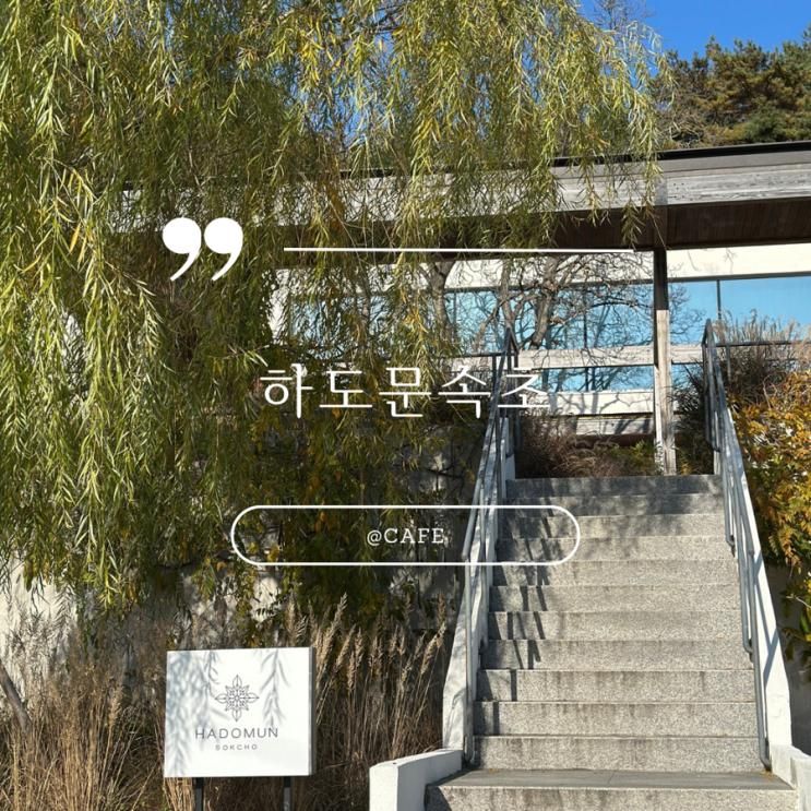 속초 여행 감성 가득한 카페 하도문속초