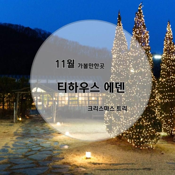 이천 가볼만한 곳 카페 티하우스에덴 크리스마스 트리 (2025.11.30.)