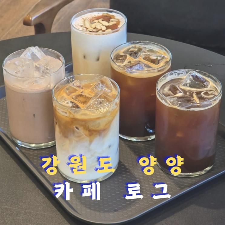 양양 분위기 맛집 추천 대형 베이커리 카페 로그 내돈내산 후기