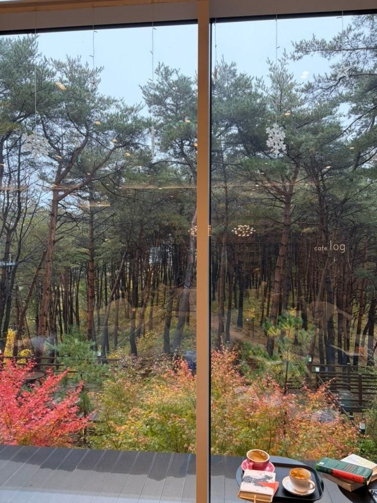 양양 놀거리 가볼만한곳 "카페로그" 북카페 추천