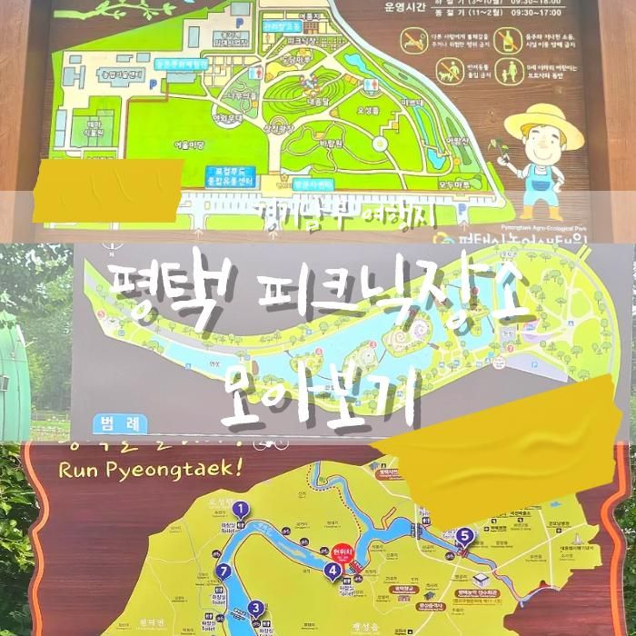 경기남부 평택 가볼만한곳_평택 피크닉 나들이장소 추천_시설 비교