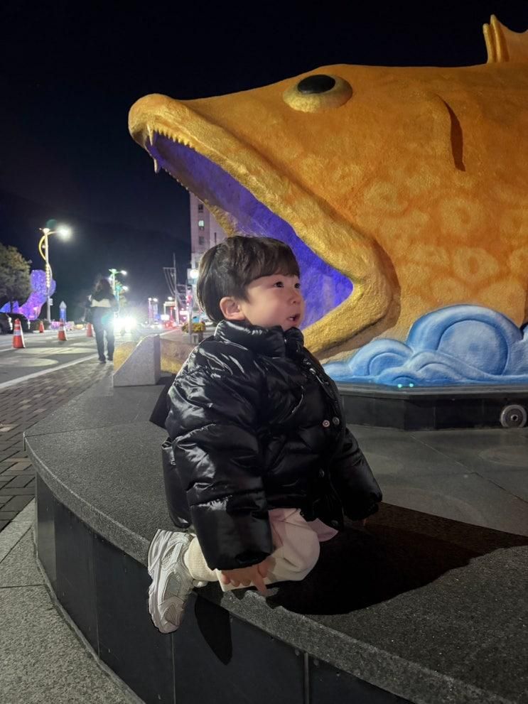 충북 단양 다누리 아쿠아리움 실내 가볼만한곳 아기랑 가볼만한곳 민물고기와 악어가있는 아쿠아리움