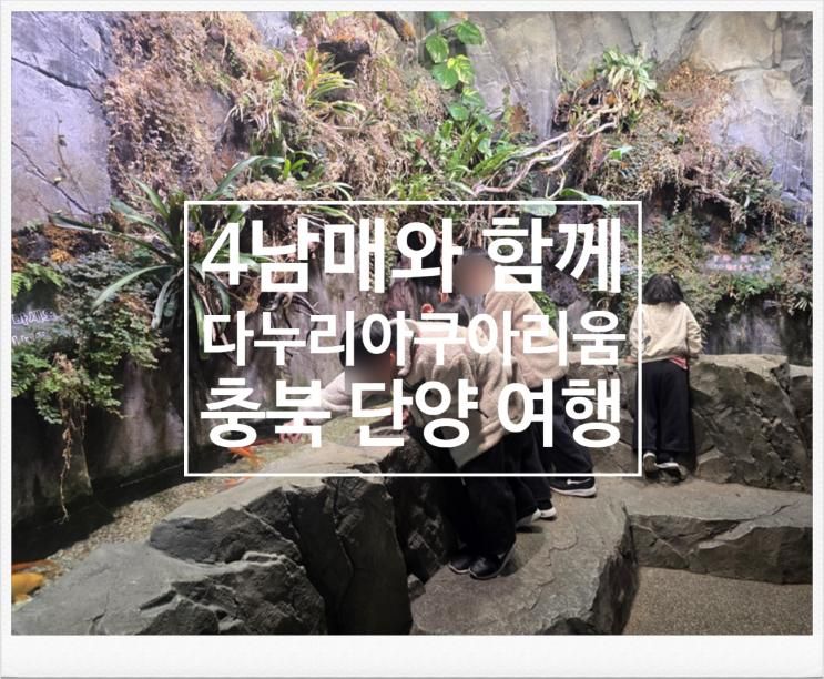 4남매와 다녀온 단양 다누리아쿠아리움｜생물 관리가 가장 좋았던 아쿠아리움