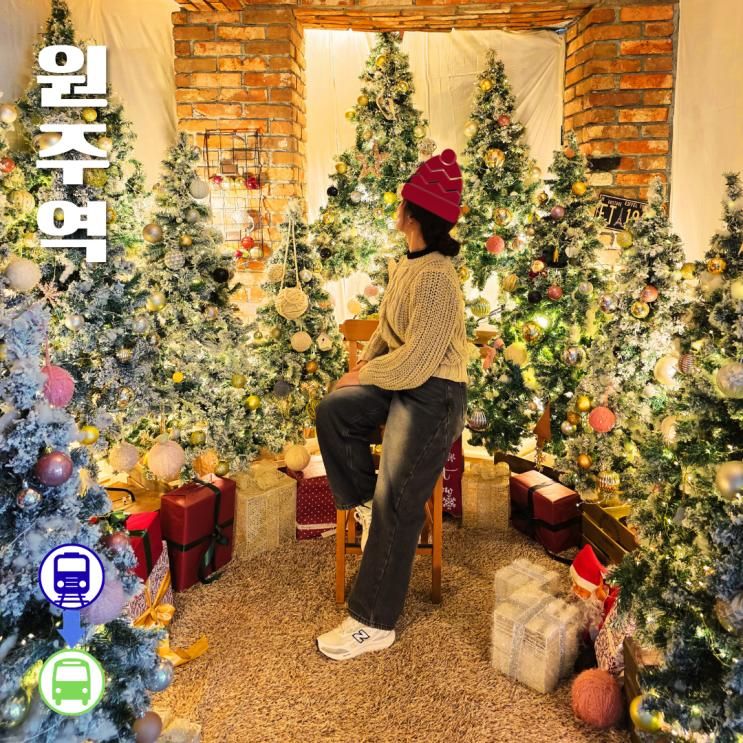 원주 크리스마스 감성 가득한 분위기 좋은 카페, 사진정원