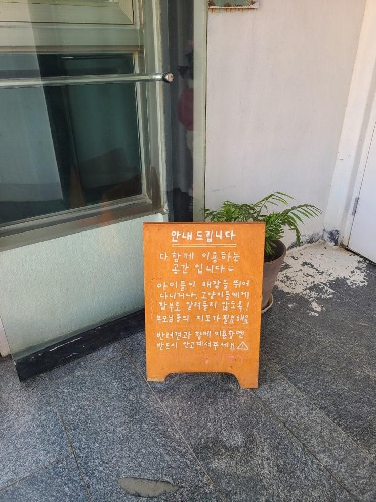 원주카페 "사진정원" 데이트코스 다양한 크리스마스 포토존 불멍카페