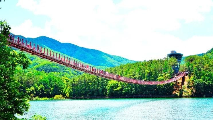 서울 근교 가볼만한곳 파주 마장호수 출렁다리 무료라 더 좋은 곳
