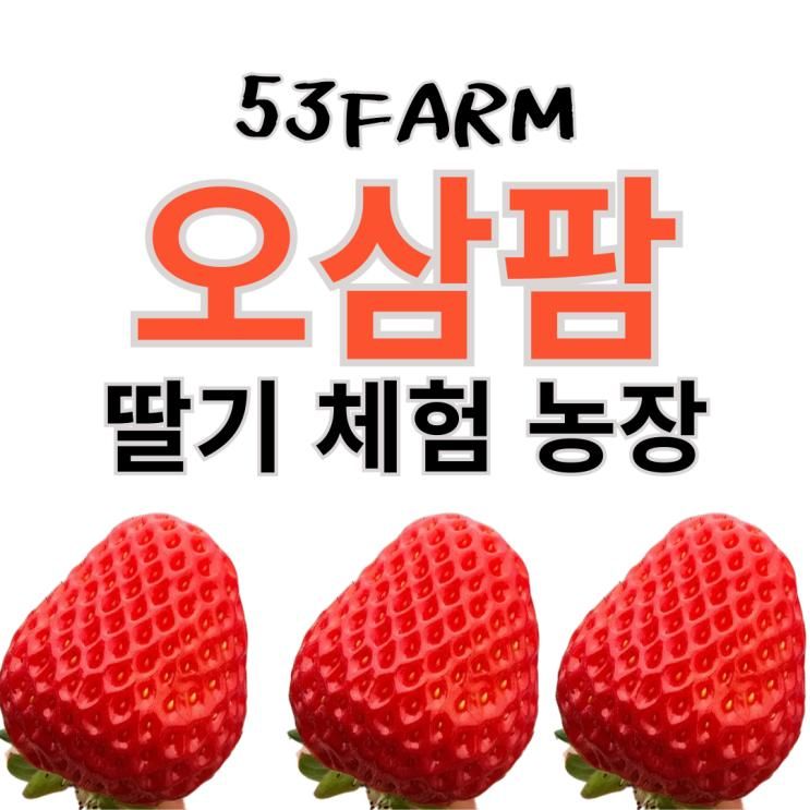 우리 가족 딸기루틴, 남양주 '오삼팜(53Farm)' 딸기체험농장&아이스크림 만들기