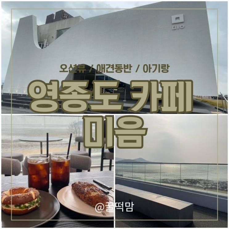 영종도 마시안 해변 오션뷰 대형카페 <미음> 아기랑 애견 동반 내돈내산 후기