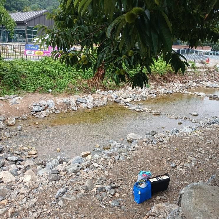 충남 천안 물놀이 가능한 광덕산 계곡카페 마루커피
