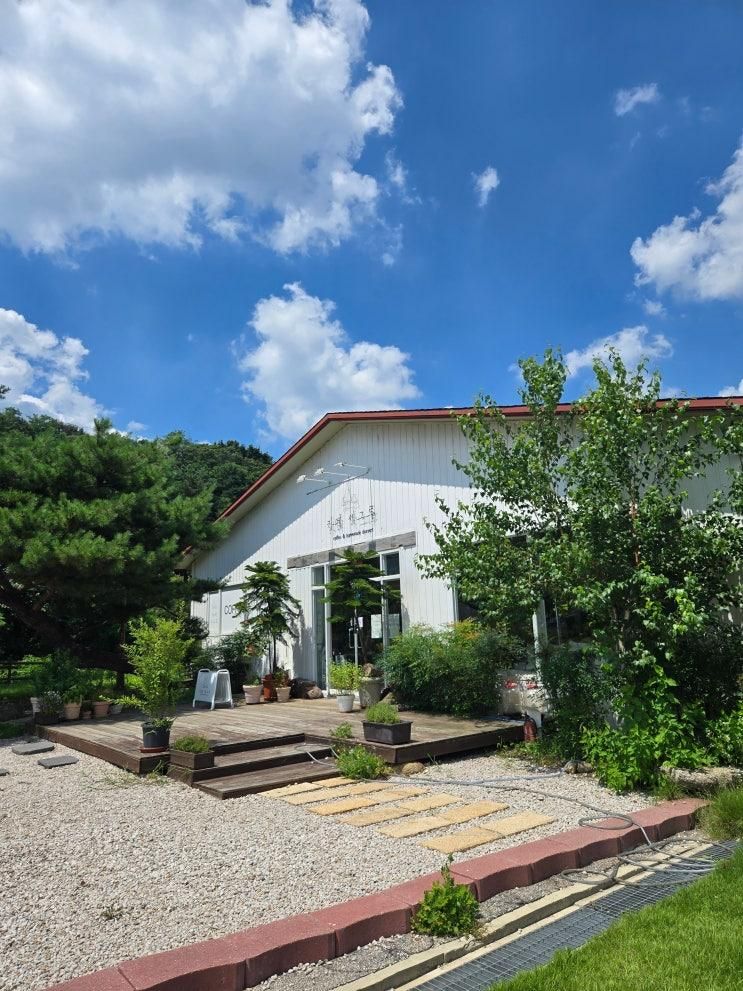 포천 베이커리 카페 세그루 아이와가볼만한곳 애견동반