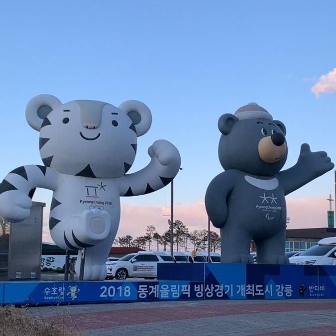 강릉올림픽뮤지엄 강릉여행 아기랑 실내 가볼만한곳