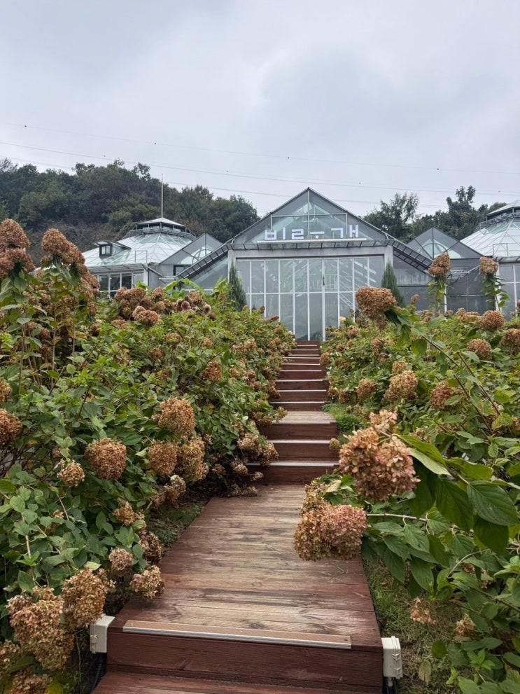 | 비루개 - 남양주 별내 | 부모님과 가기 좋은 식물원 대형 카페 - 내돈내산