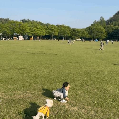🌿 난지천공원 잔디광장, 아기와 나들이하기 좋은 피크닉 명소🍼🌳