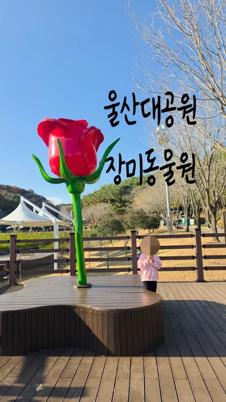 울산대공원 장미동물원 방문 후기 아이와 함께 가볼만한 곳  원숭이 도끼 거북이 앵무새 다람쥐 양 관찰