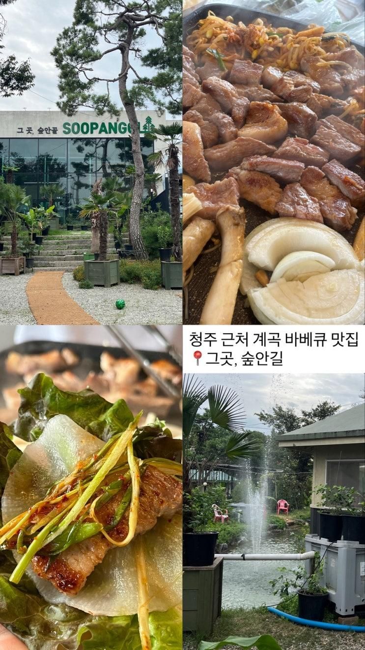 청주 계곡 바베큐 그곳 숲안골 내돈내산 후기