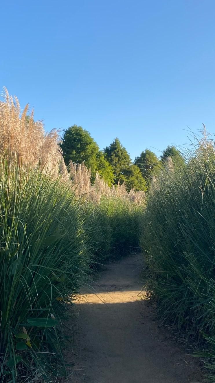 충남 태안 꼭 가봐야 할 곳, 청산 수목원 🌾