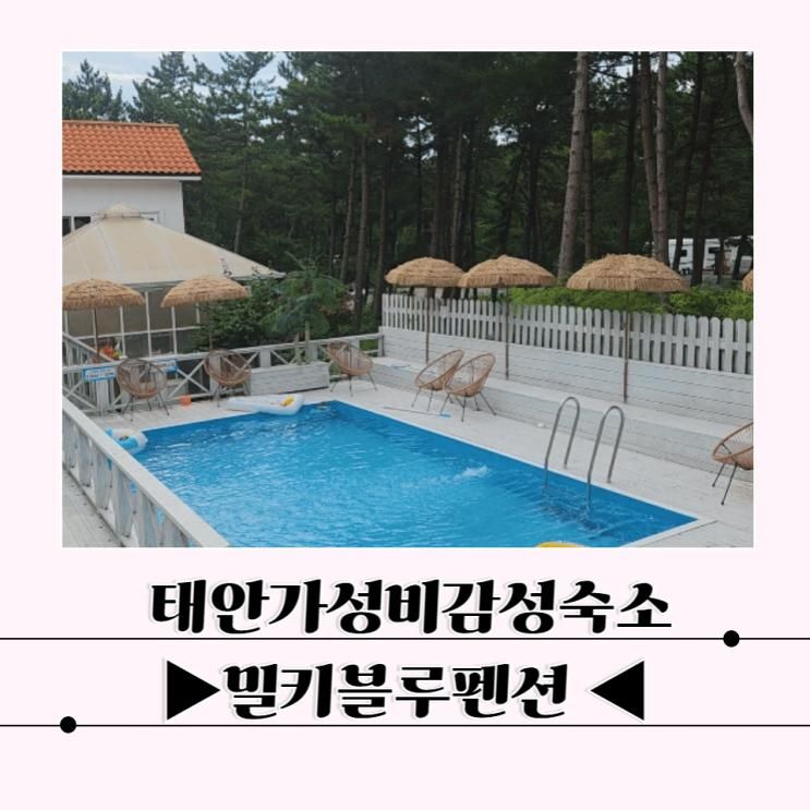 태안 가성비 감성숙소 밀키블루펜션, 바다와 갯벌까지 품은 힐링 여행