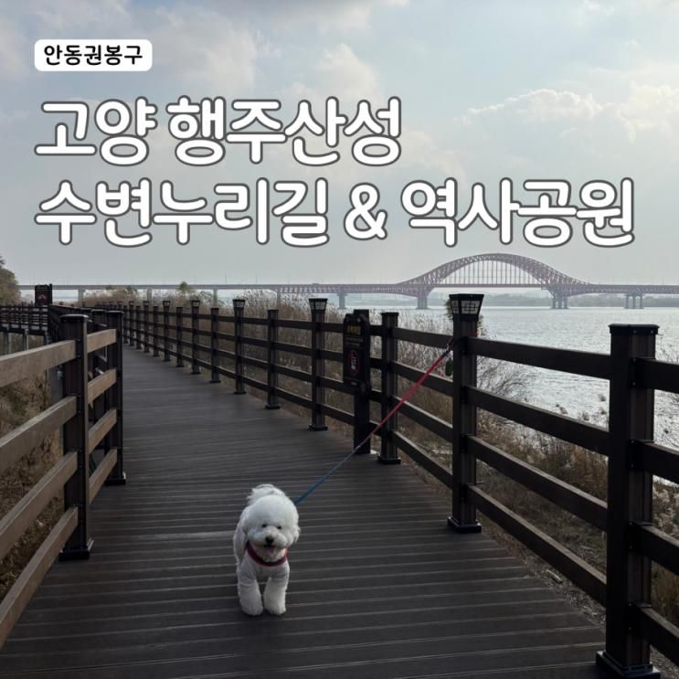 고양 행주산성 수변누리길 & 역사공원(주차 Tip) | 애견동반 여행 서울근교