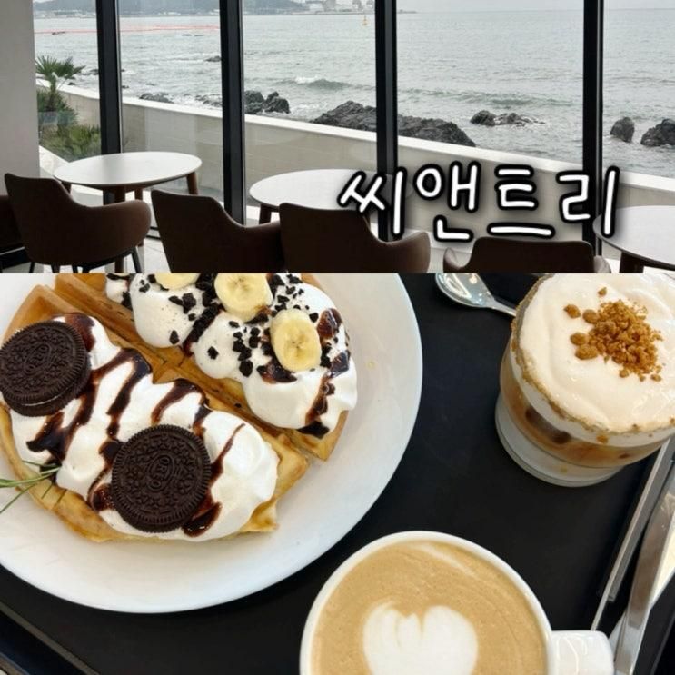 부산 일광 오션뷰 대형 카페추천 수영장카페 씨앤트리
