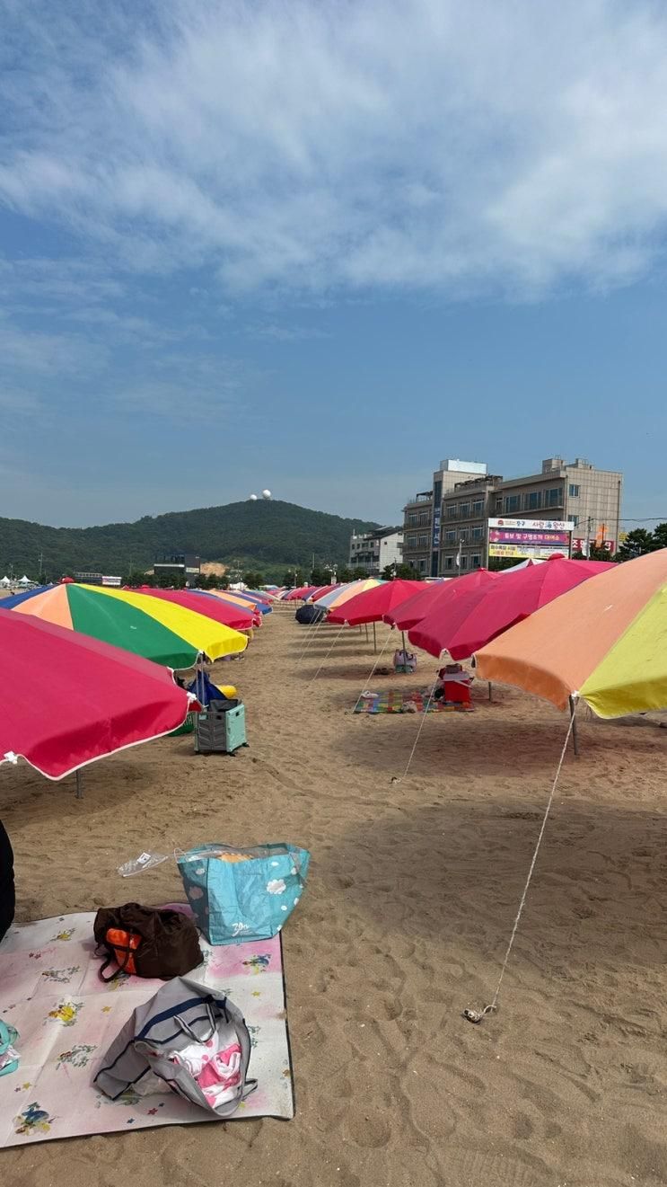 아이 아기랑 가기 좋은 왕산 해수욕장 여름 파라솔,샤워 후기