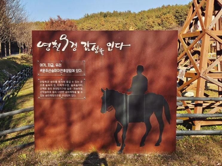 경북 영천 운주산승마자연휴양림 휴양관 후기
