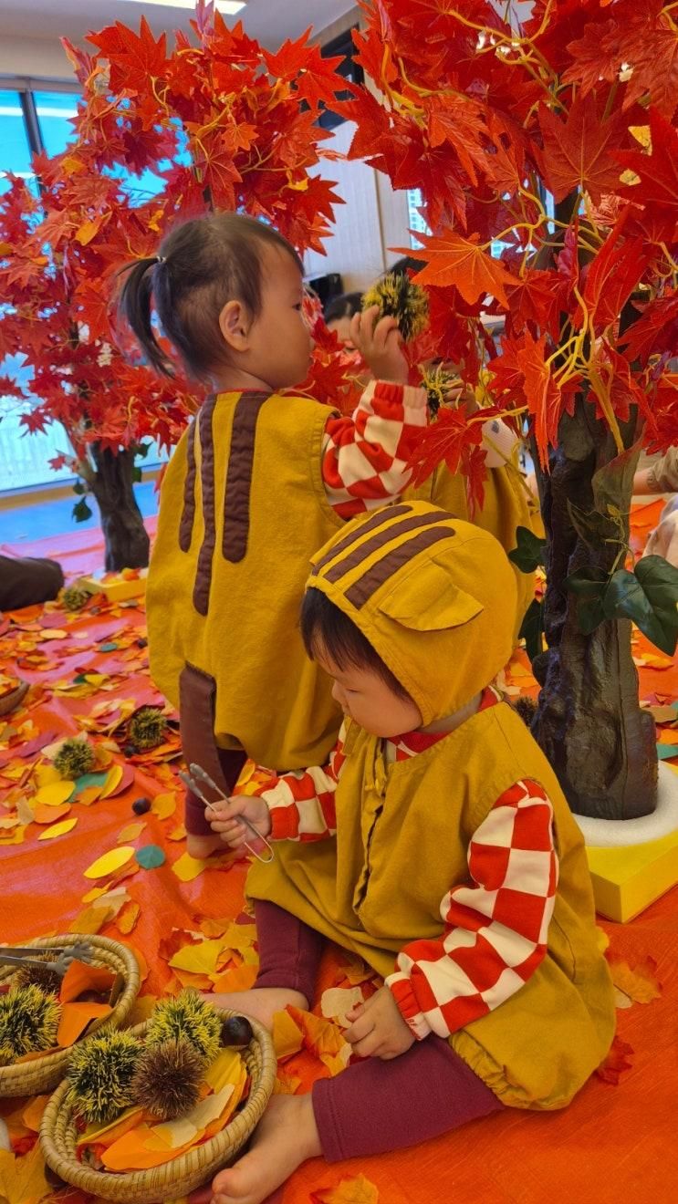 쌍둥이 두돌 여행 운주산승마자연휴양림 16호 육아일기