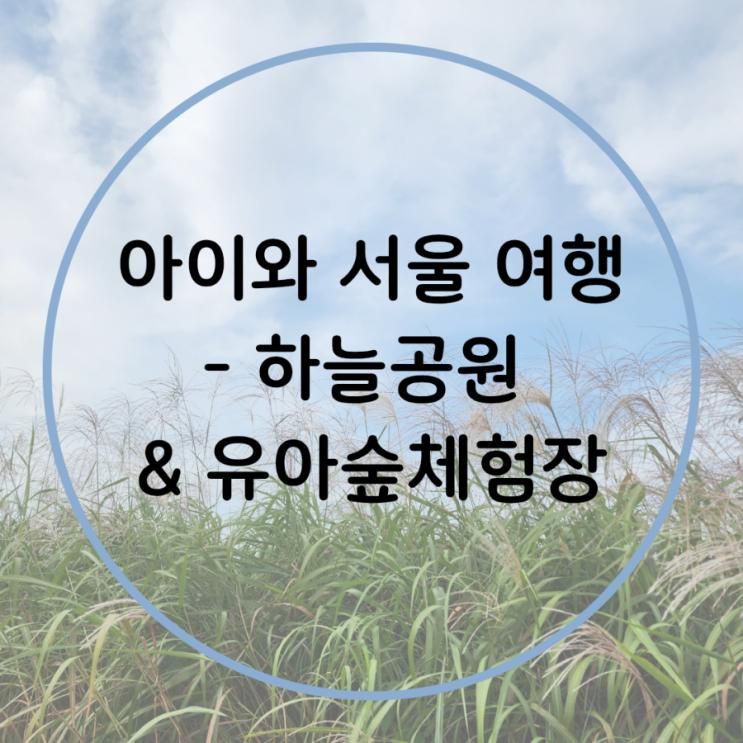 [일상] 아이와 서울 여행 - 하늘공원 & 월드컵공원 유아 숲 체험원