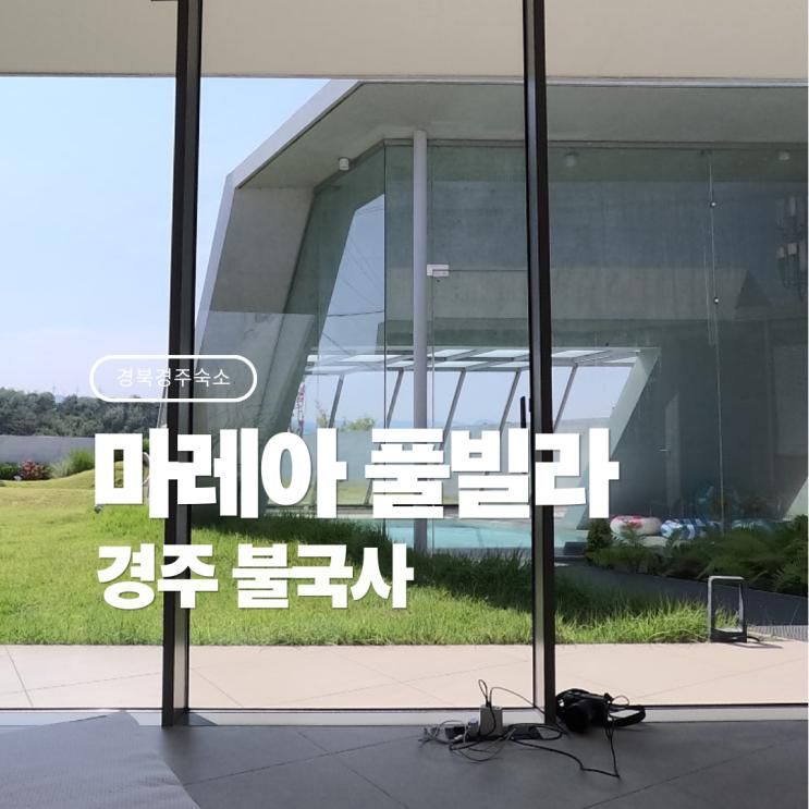 [경북/경주] 키즈 풀빌라는 무조건 여기♡불국사 근처아기와 함께 반려동물 동반 가능한  '마레아풀빌라' 2박3일 후기