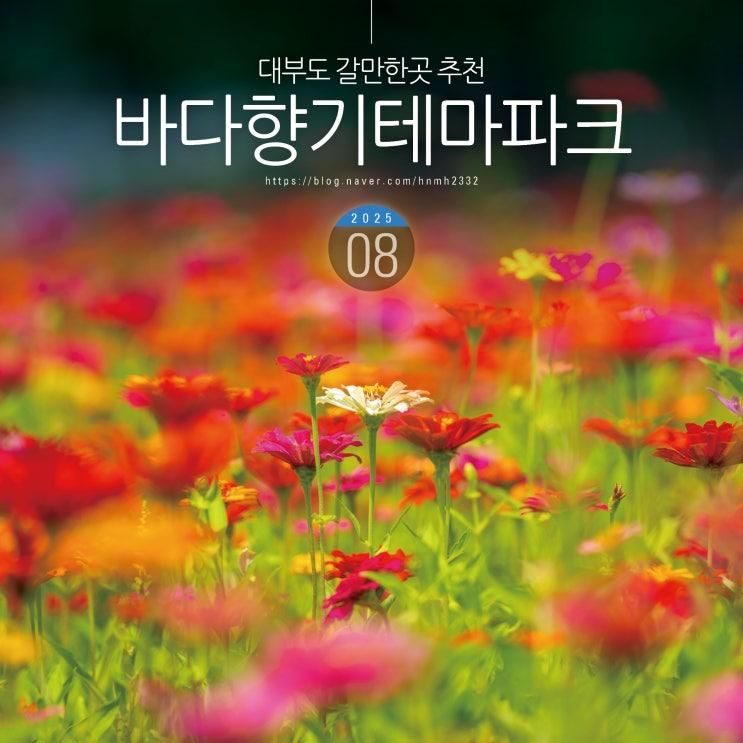경기도 혼자여행 안산 대부도 갈만한곳 추천 바다향기테마파크