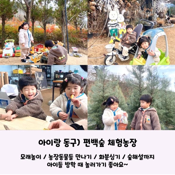 아이랑 동구) 시골집에 온 것 같이 편하고 놀거리 많은 '편백숲 체험농장' 35개월 아이 겨울에도 잘 놀았어요