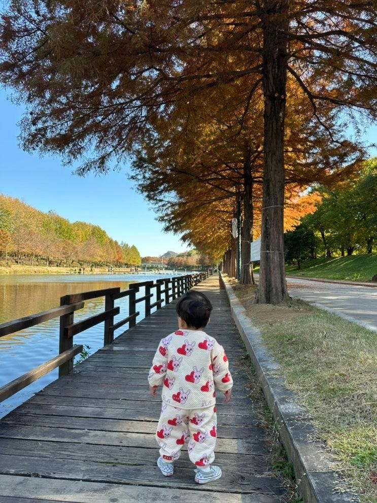 [담양 가볼만한 곳] 관방제림, 카페 오프더커프(15개월 아기)