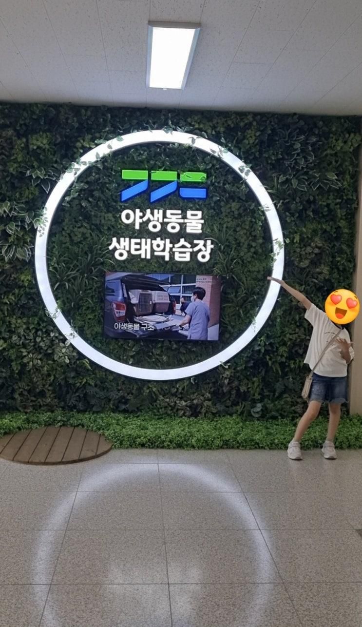 아이와주말에 가기좋은 경기북부 야생동물 생태학습장 수의사체험