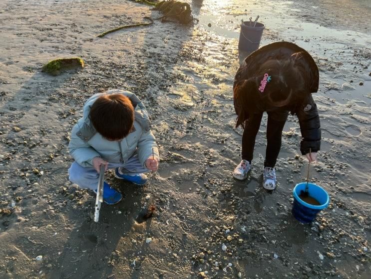 남해 노랑카라반 숙소 리얼 후기, 갯벌체험부터 고카트까지 풀코스 여행