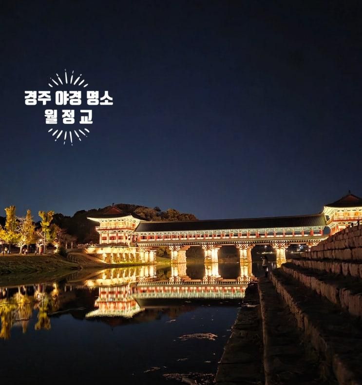 경주 야경 명소 월정교 방문 후기 주차 정보