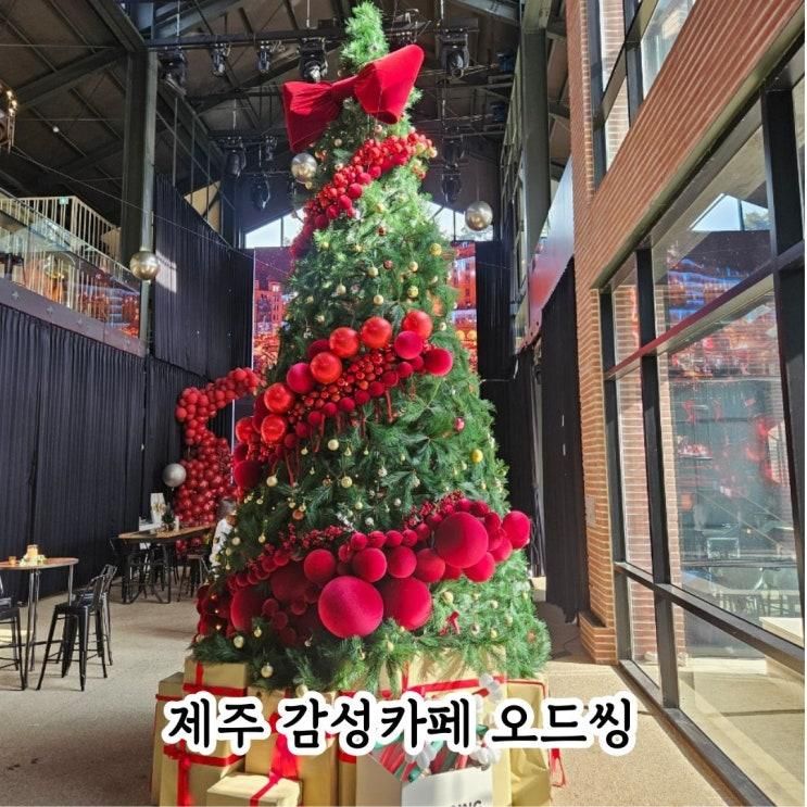 제주 오드씽 겨울 감성 카페, 아이와 즐긴 크리스마스 트리 풍선 파티