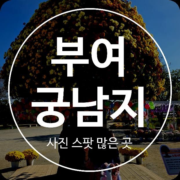 부여 가족 여행 아이랑 가볼만한 곳 서정미 가득한 궁남지에서의 힐링 산책 feat. 무드빌리지 카페