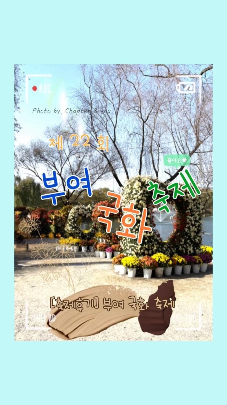 가을의 온도, 국화의 향기
