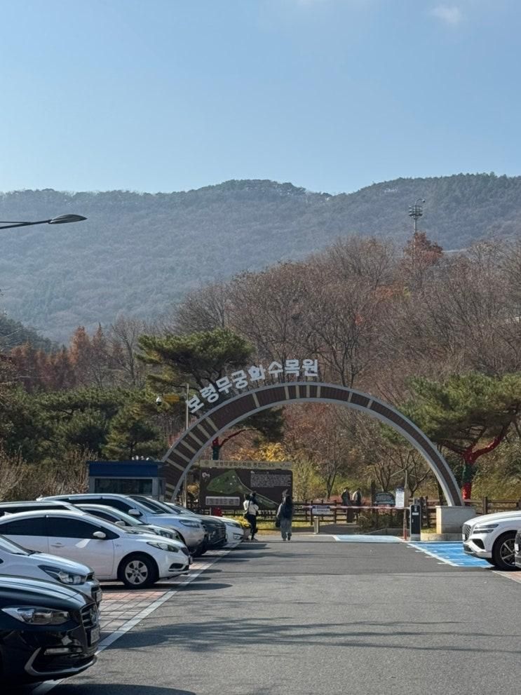 대천 아기랑 갈만한 곳 보령무궁화 수목원 목재문화체험장 상상놀이터
