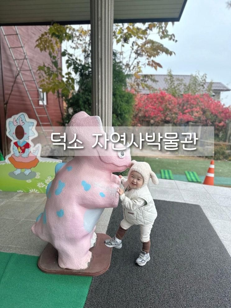 남양주 덕소자연사박물관 23개월 아기랑 (주차,먹이주기,공룡전시)