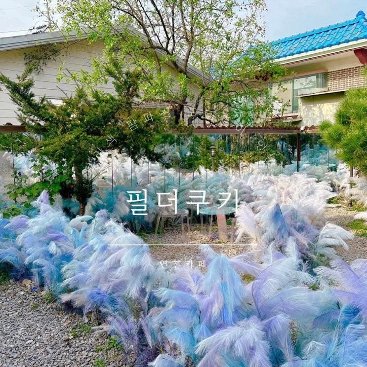 서울 근교 연천 카페 팜파스 포토존이 있는 쿠키 맛집 필더쿠키