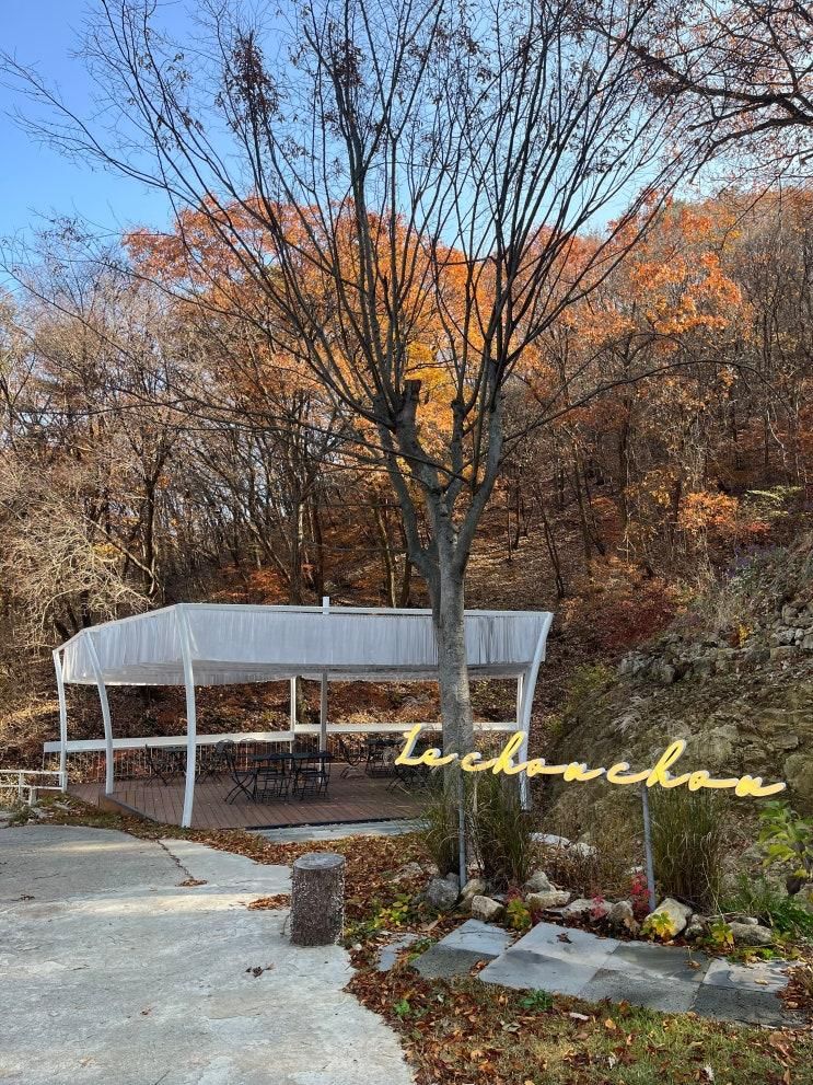 용인 단풍 구경 대형카페 르슈슈 | 아기랑 다녀온 평일 방문 후기 🍂